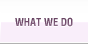 What we do